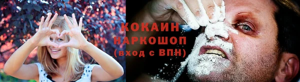 гашик Пересвет