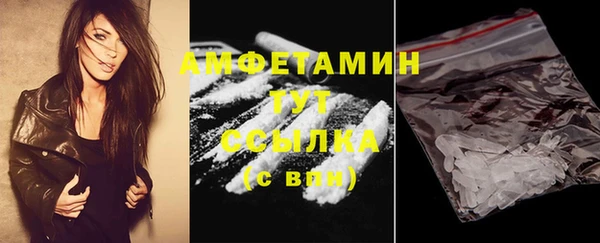 гидра Аркадак