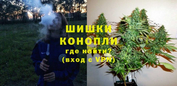 гидра Аркадак
