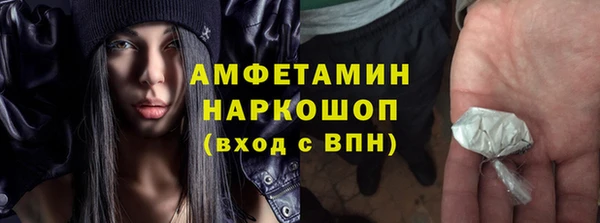 гидра Аркадак