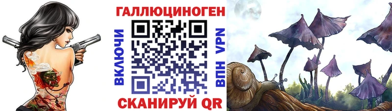 как найти   Талица  Псилоцибиновые грибы Psilocybe 